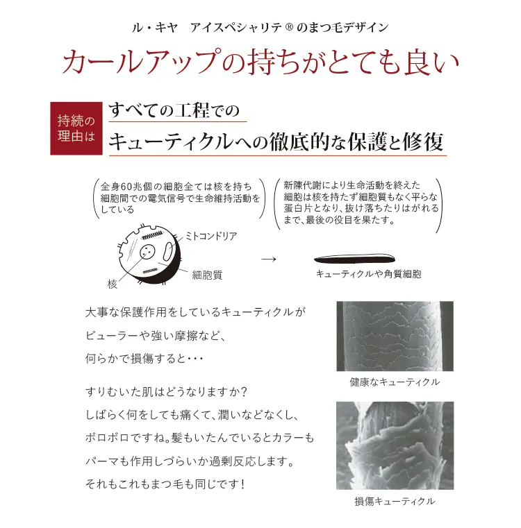 まつ毛のキューティクル